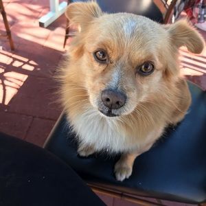 Meet your Posher, Cynthia